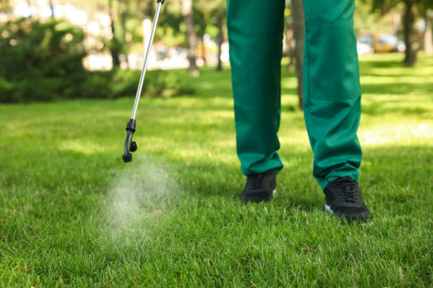 Best Residential Pest Control  in Charlotte Park, FL