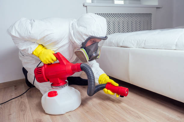 Best Termite Control Services  in Charlotte Park, FL
