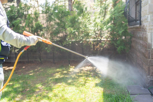 Best Spider Control Near Me  in Charlotte Park, FL