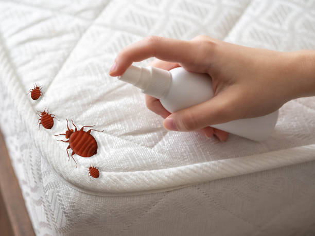 Best Commercial Pest Control Services  in Charlotte Park, FL