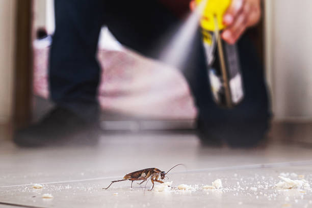 Best Pest Control Near Me  in Charlotte Park, FL