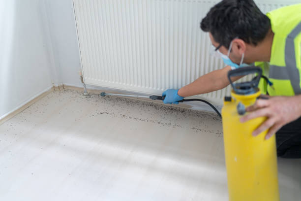 Best Pest Removal Services  in Charlotte Park, FL