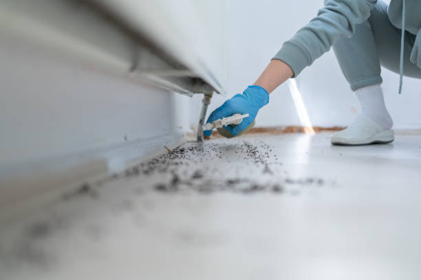 Best Affordable Pest Control Services  in Charlotte Park, FL