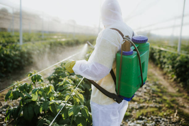 Trusted Charlotte Park, FL Pest Control Experts